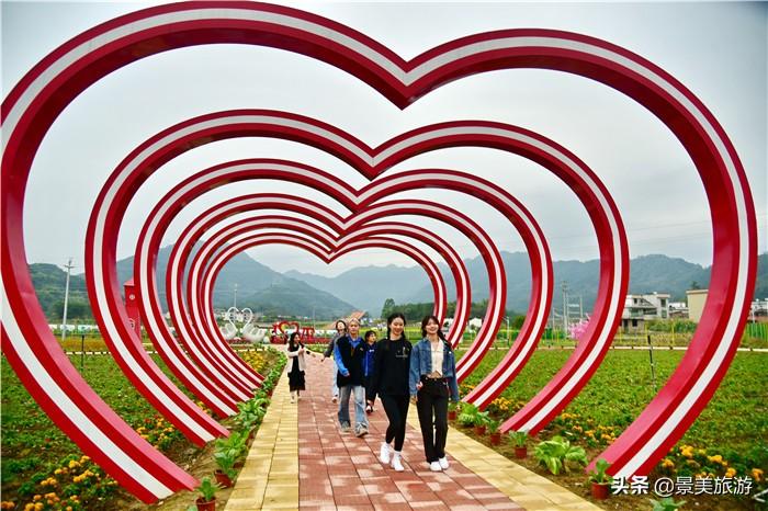 抖音月付用套出来 揭秘抖音月付用套出来的秘密，让你轻松省下大笔费用！