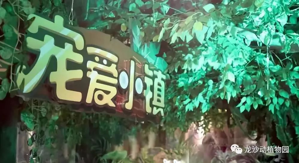抖音月付在呢么提现 抖音月付在呢么提现？揭秘提现攻略与常见问题解答