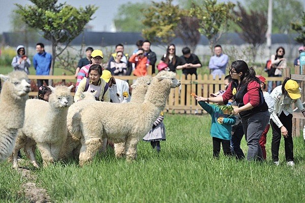 微信分付提现免费什么意思 微信分付提现免费大揭秘，这是什么意思？怎么操作？