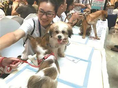 大羊小咩享花卡提现额度查询全攻略，手把手教你3分钟搞懂额度规则
