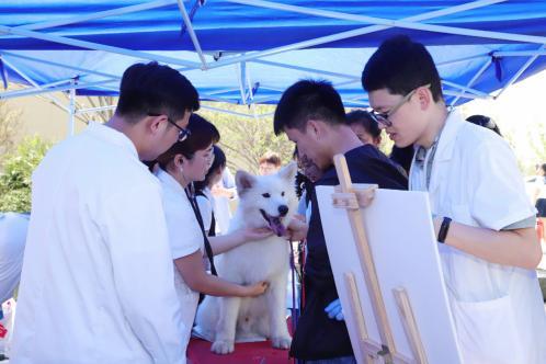 微信分付提现会不会封号 微信分付提现那些事儿，揭秘提现封号风险与应对策略