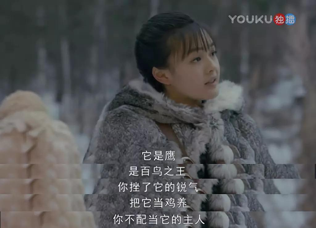 黑河户外萌宠乐园设计师，打造互动体验的奇幻之旅