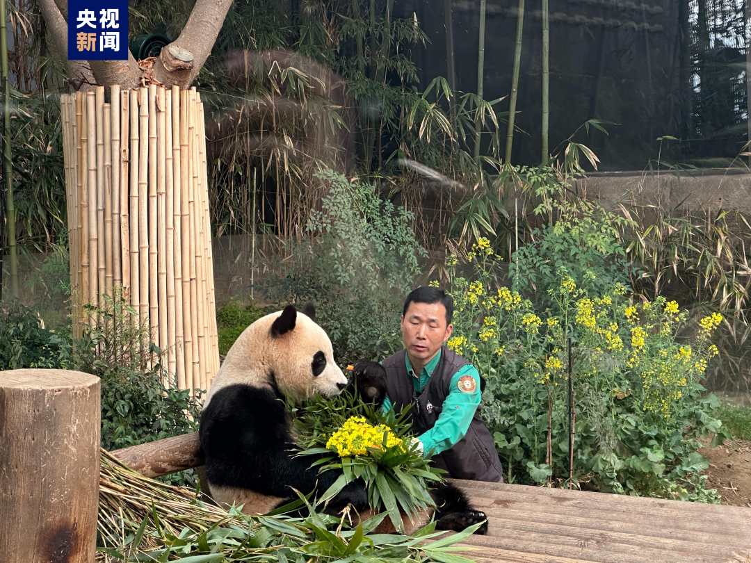 抖音月付余额怎么提现到惠客 抖音月付余额轻松提现到惠客，操作指南+案例分享