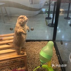 律师能否查开房记录？律师执业中的隐私权边界与操作指南