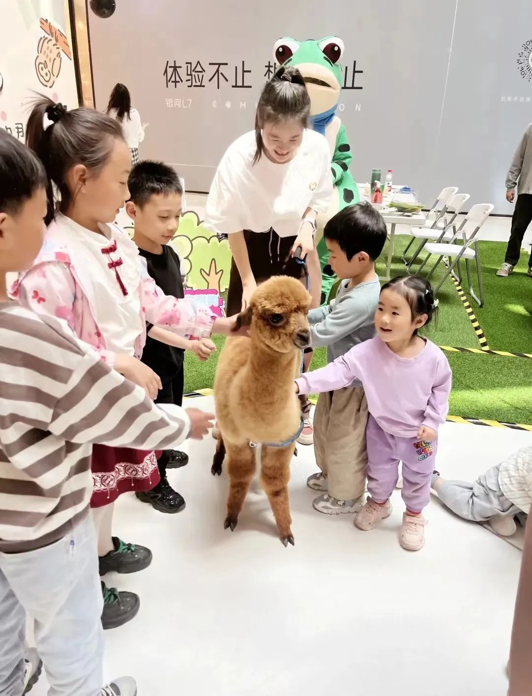 探索九华多乐城萌宠乐园的奇妙之旅