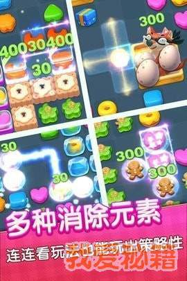 保定萌宠乐园消费指南，预算与案例分析