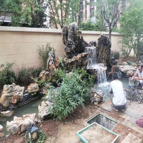 保定萌宠乐园消费指南，预算与案例分析