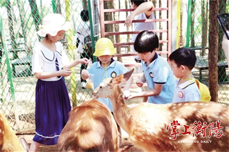 保定萌宠乐园消费指南，预算与案例分析