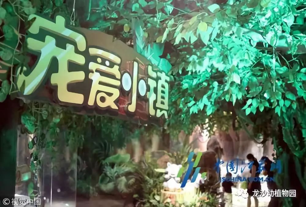 怎麼監控別人的聊天記錄，一個難以啟齿的話題