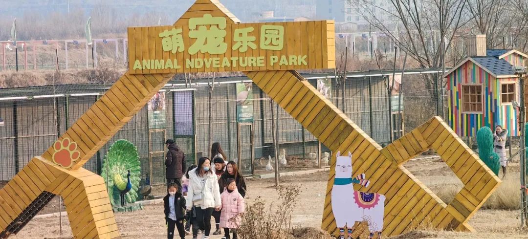 110酒店入住记录查询系统，功能解析、操作指南与实战案例
