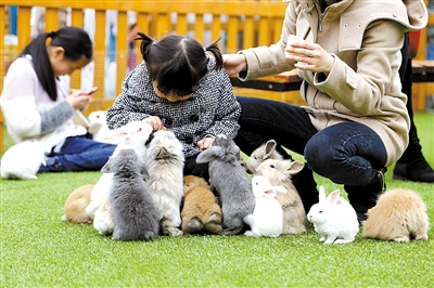 自己提现微信分付方法 轻松掌握微信分付提现攻略，让你钱袋子鼓起来！