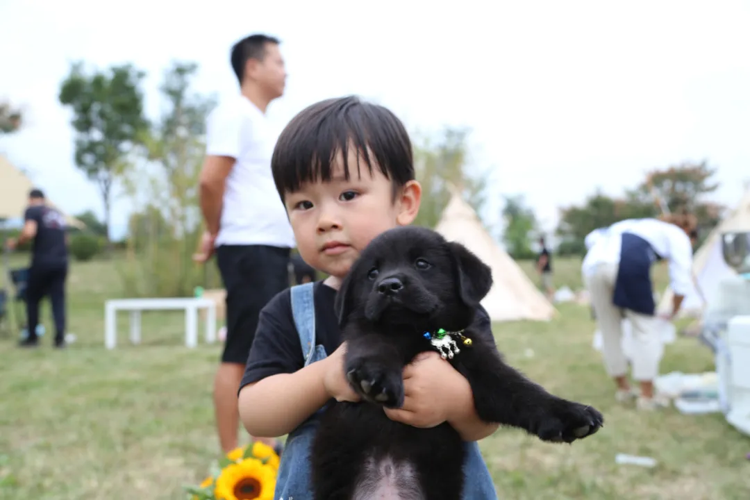 惠东萌宠乐园招聘启事与电话