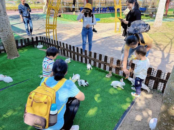 怎么查异地酒店入住记录？详细步骤与注意事项