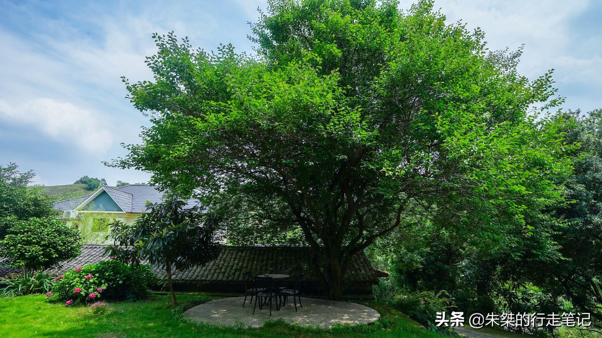 抖音月付在哪里可以套出来吗 揭秘抖音月付套现攻略，揭秘隐藏在月付中的秘密通道！