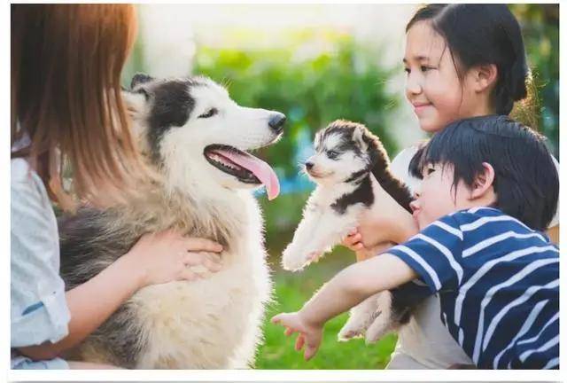 微信分付提现俩月免息吗 微信分付提现福利揭秘，俩月免息，你了解吗？
