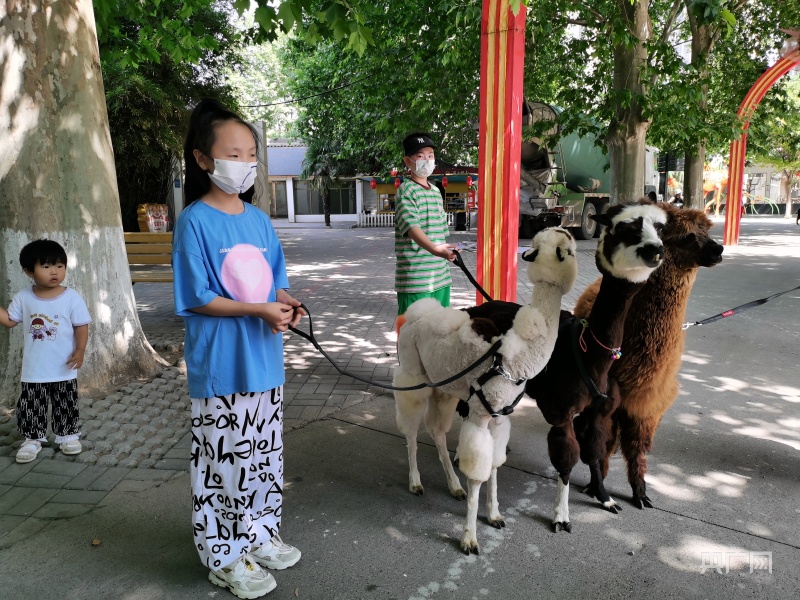 京东白条如何现提 京东白条现提攻略，轻松提取现金，享受便捷生活！