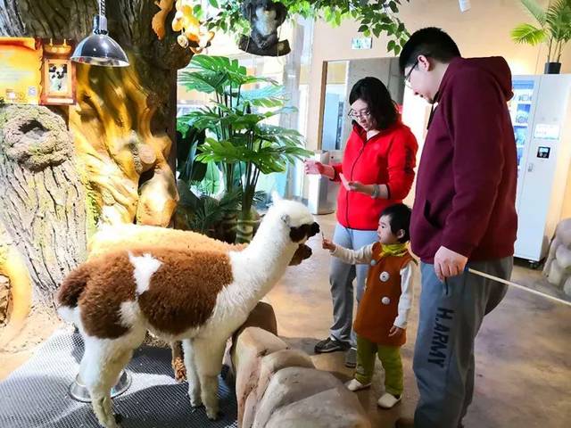 抖音月付怎么能套出来出来呢 揭秘抖音月付套现攻略，轻松变现，你也能做到！