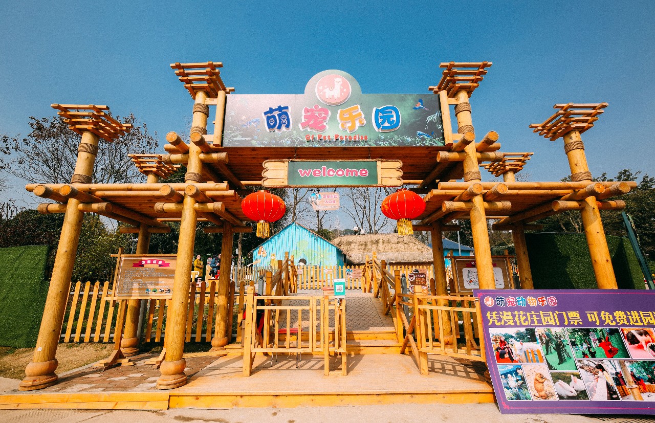 抖音月付怎么能套出来出来呢 揭秘抖音月付套现攻略，轻松变现，你也能做到！