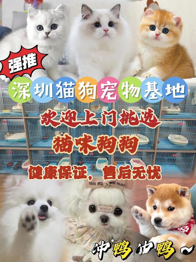 好梦林水萌宠乐园门票体验
