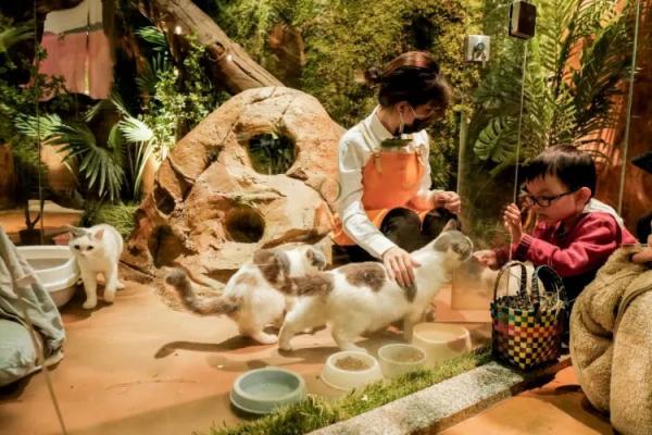 如何巧妙查看老婆微信聊天记录而不被发现？