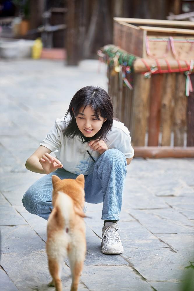 查开房信息网站 揭秘查开房信息网站，如何轻松获取酒店入住记录？
