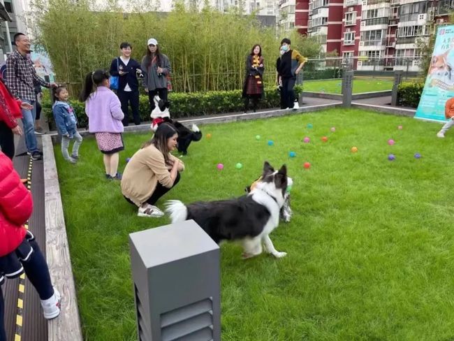 自己抖音月付怎么提现吗 抖音月付提现攻略，轻松变现你的小确幸！