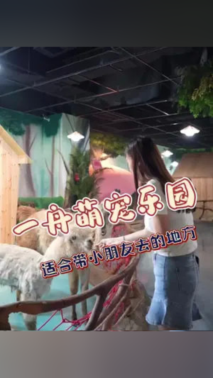 身份证查询开房记录，安全与隐私的平衡艺术