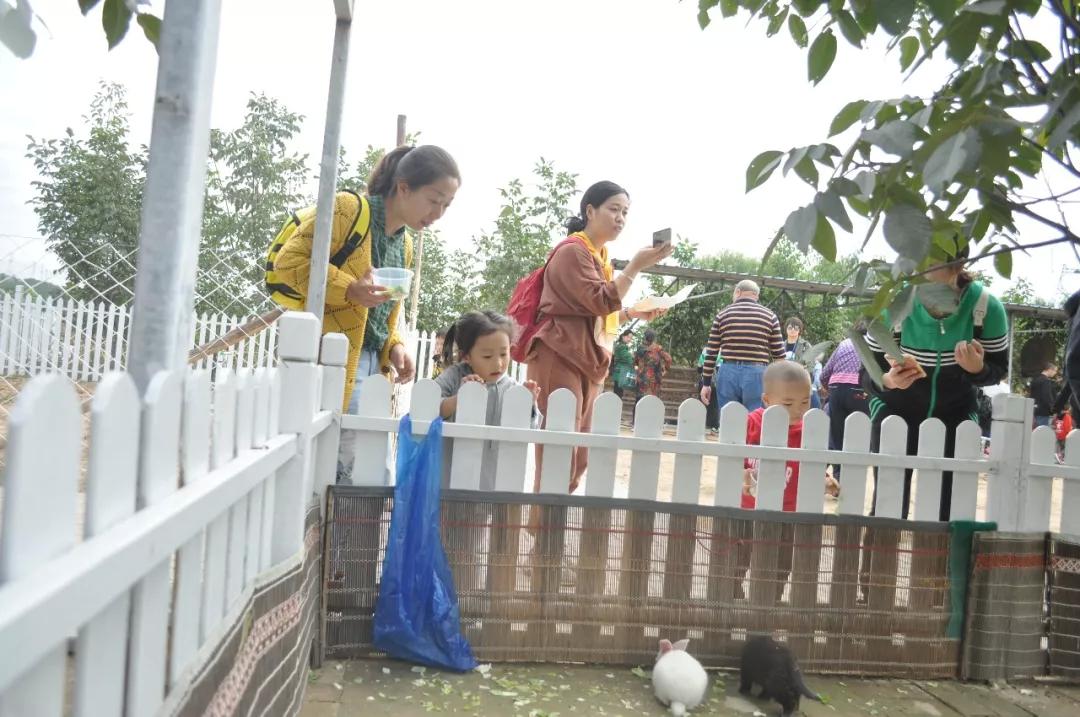 抖音月付怎么给他提现 抖音月付提现攻略，轻松把零花钱变成真金白银！