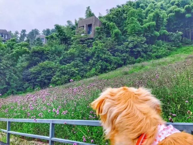 抖音月付怎么给他提现 抖音月付提现攻略，轻松把零花钱变成真金白银！