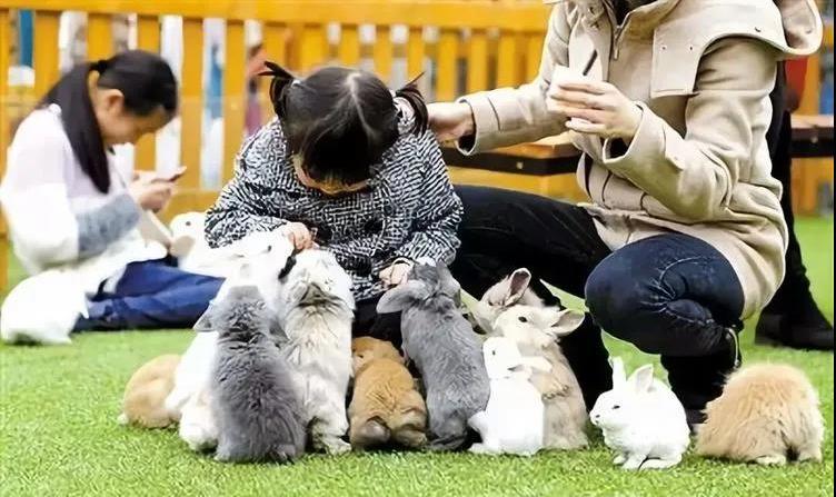 找回微信聊天记录，谁可以帮忙？