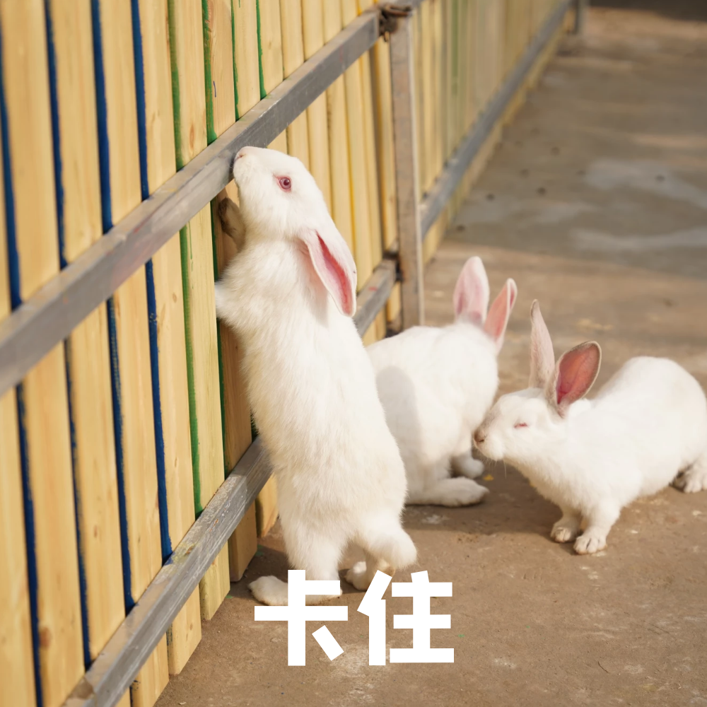 微信分付提现额度怎么查询 微信分付提现额度查询攻略，轻松了解你的提现权限！
