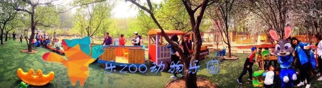 鸟岛萌宠乐园攻略大全