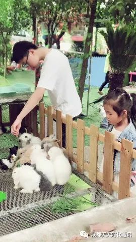打造亲子萌宠乐园，设计图与案例解析