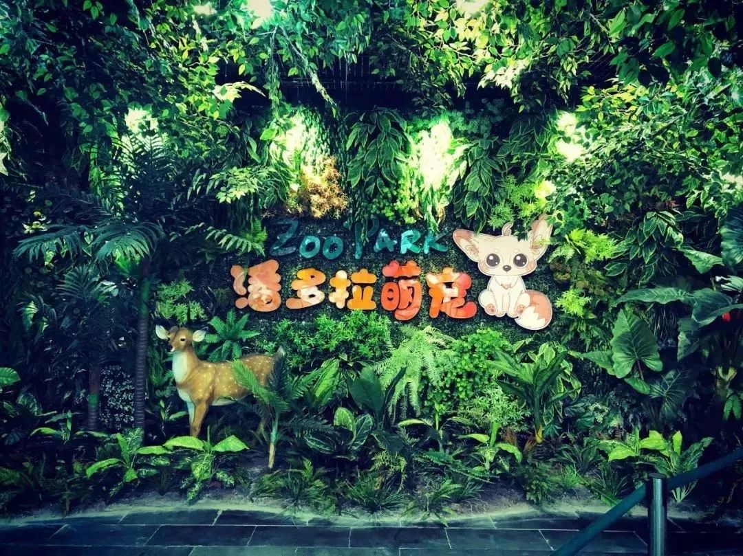 南通抖音月付怎么取现？一文带你轻松搞定！