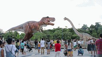京东白条收钱提现扣费率 揭秘京东白条收钱提现扣费率，费用明细大公开！
