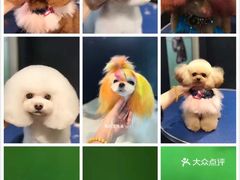 抖音月付一万提现手续费多少 抖音月付一万提现，手续费揭秘及案例分析