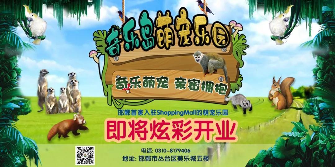 抖音月付银联提现多久到账 抖音月付银联提现，钱款到账时间揭秘！