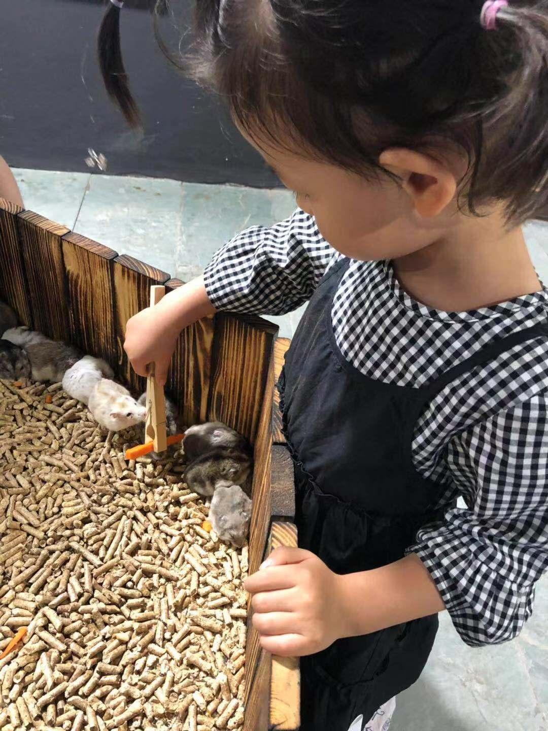 萌宠乐园门票限时秒杀辽源活动攻略
