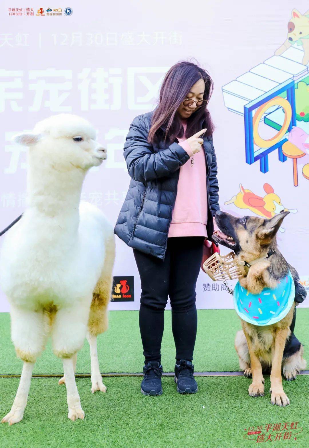 探索牡丹园萌宠乐园位置地图—一个充满乐趣的旅程