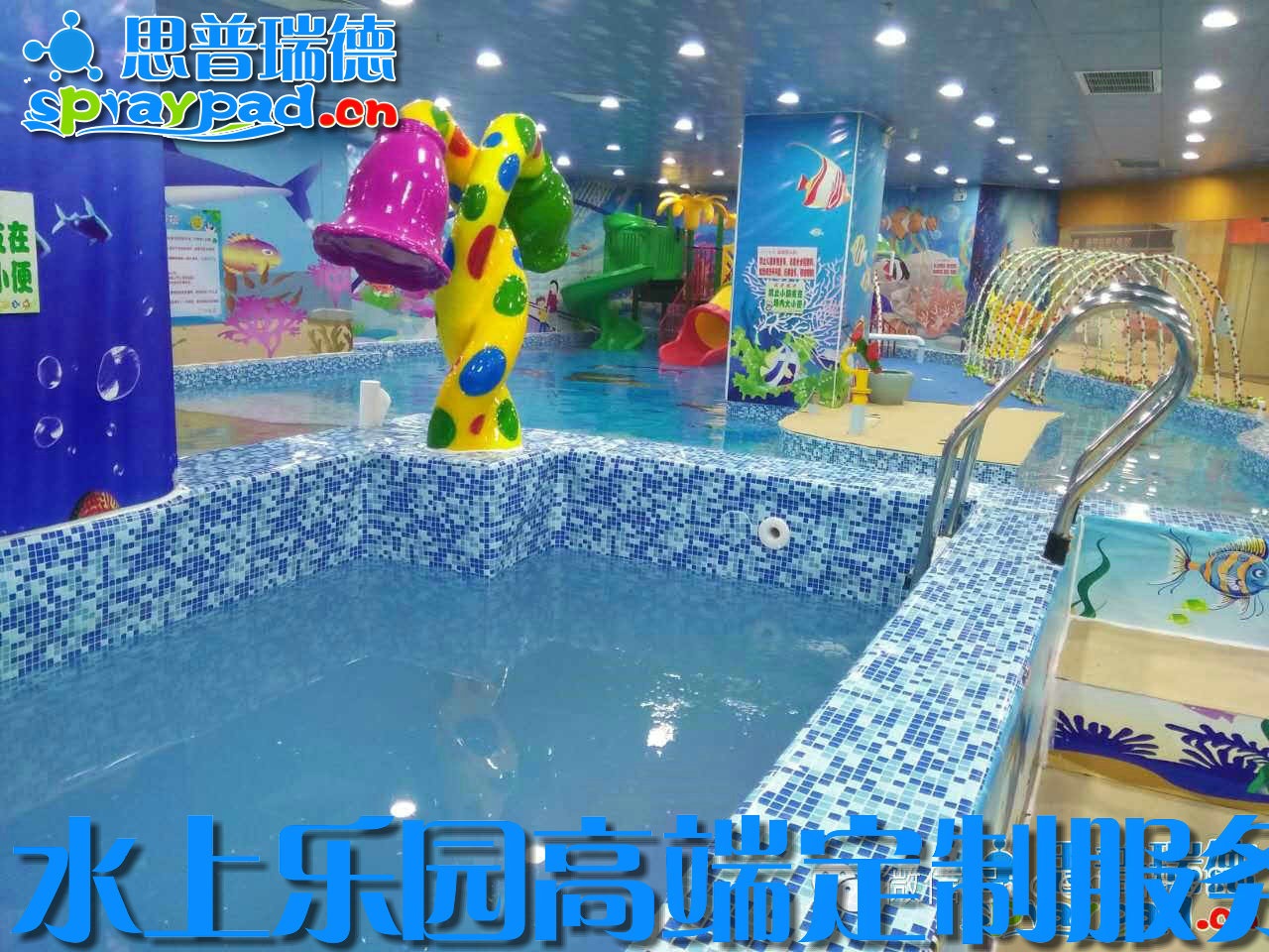 抖音月付一万元提现 揭秘抖音月付一万元提现，揭秘背后的真相与案例分享