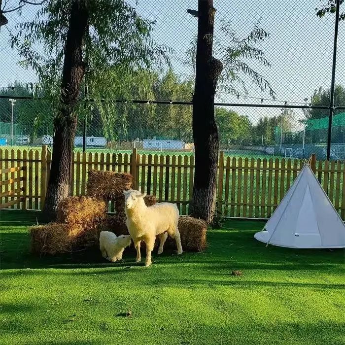 招远萌宠屋乐园地址查询