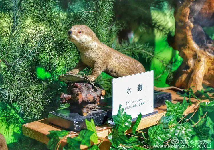护照能查到境外酒店住宿记录吗？详解其中的是与非
