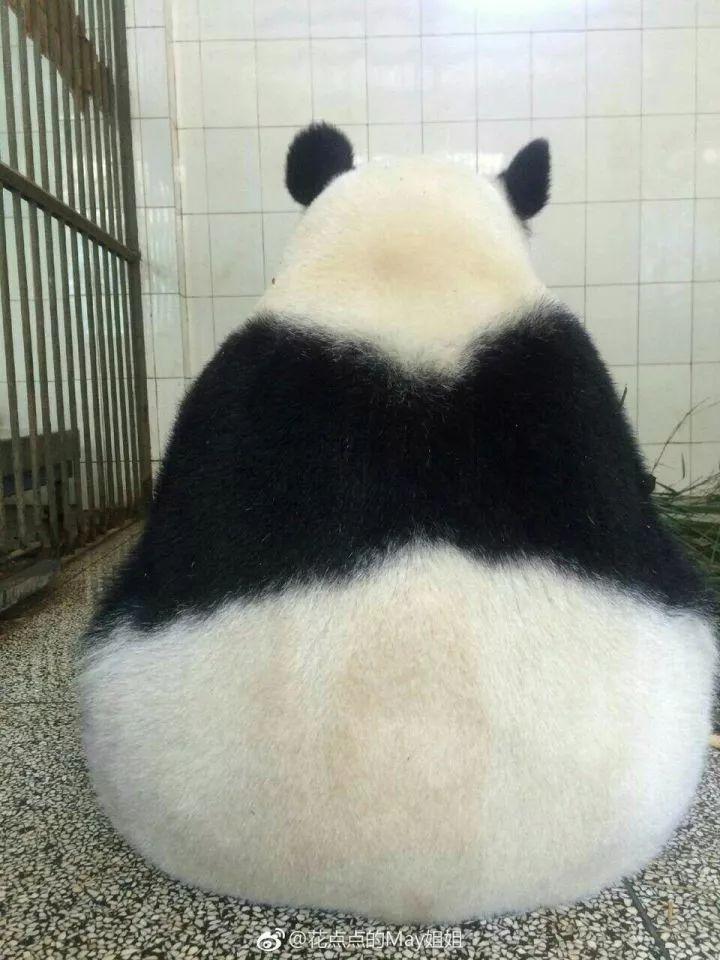 随州花呗额度提现指南