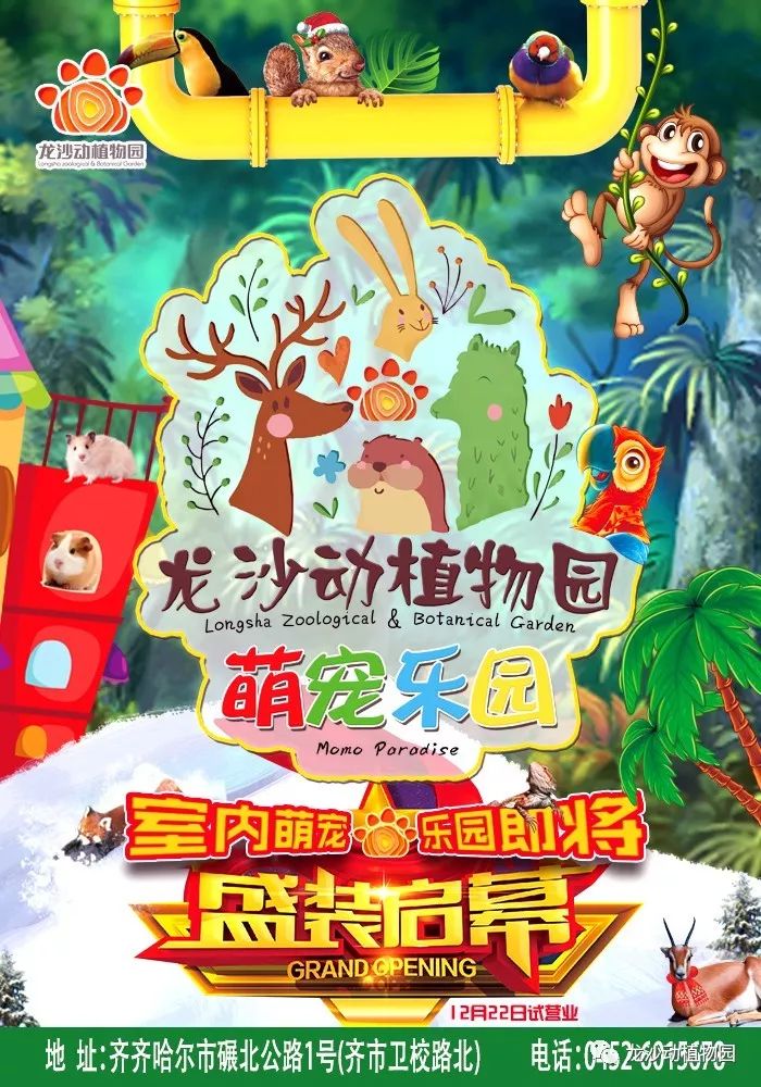 赵集港萌宠乐园联系电话