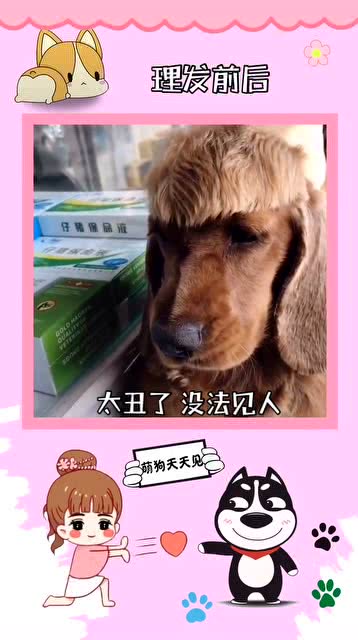 孝昌萌宠亲子乐园门票体验