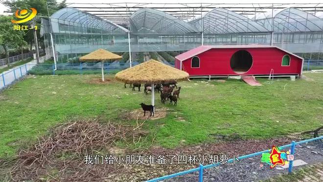 微信分付额度套现指南，如何合法获取额度并应对额度不足问题