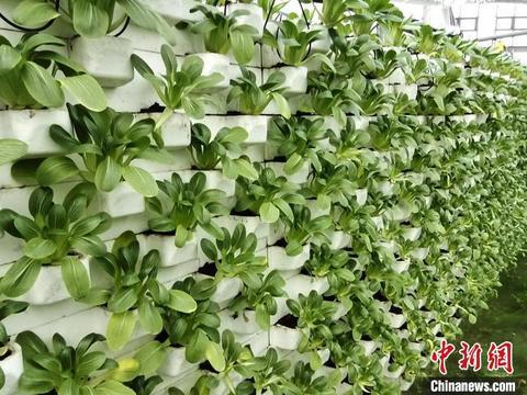 微信分付额度套现指南，如何合法获取额度并应对额度不足问题