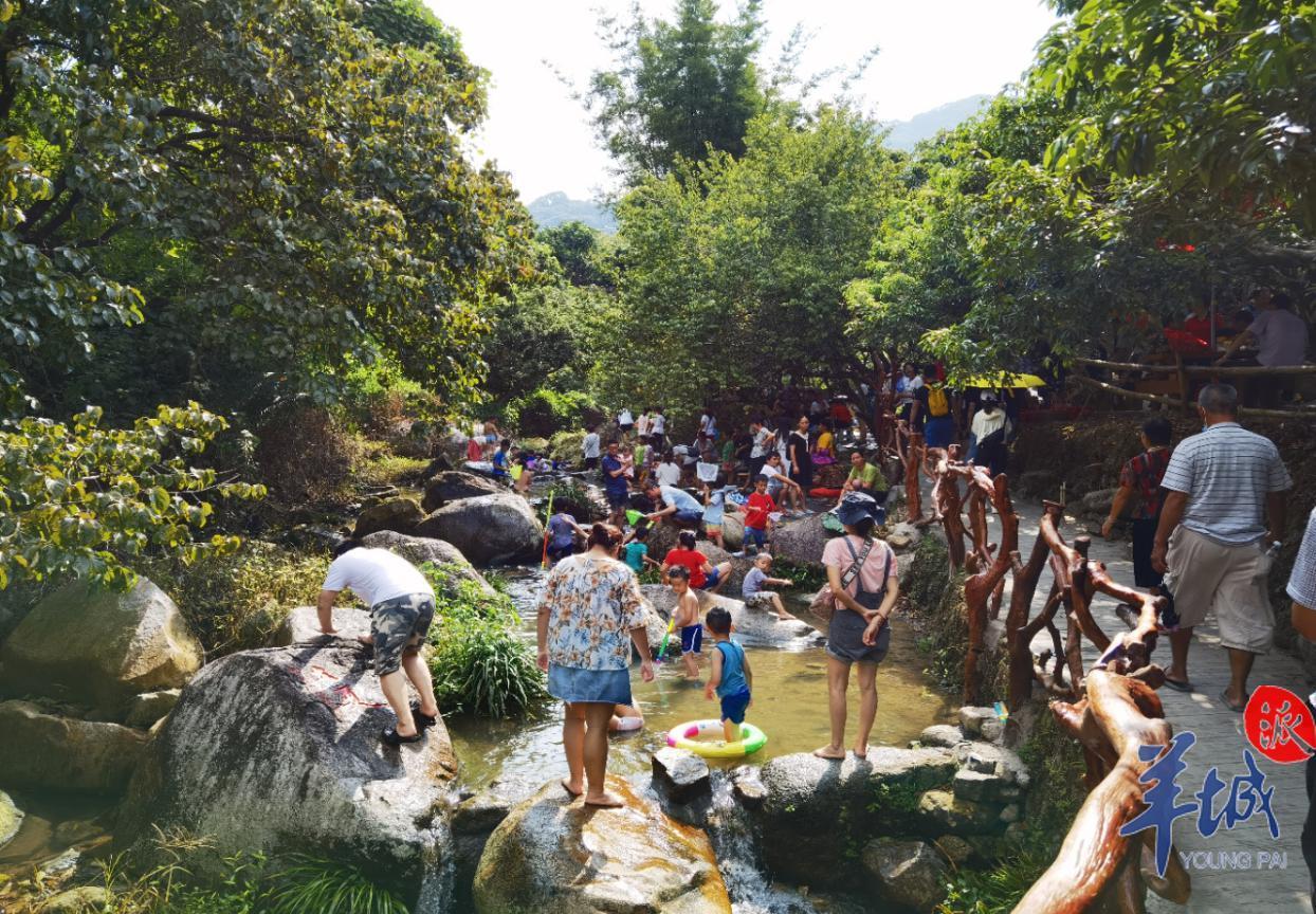 抖音月付余额套出来 揭秘抖音月付余额套现攻略，轻松变现，你也能做到！