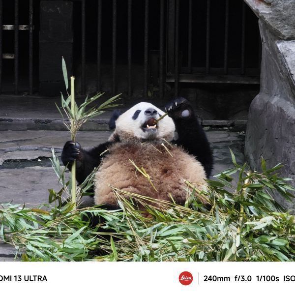 微信分付提现发空包 揭秘微信分付提现空包骗局，小心你的钱包！