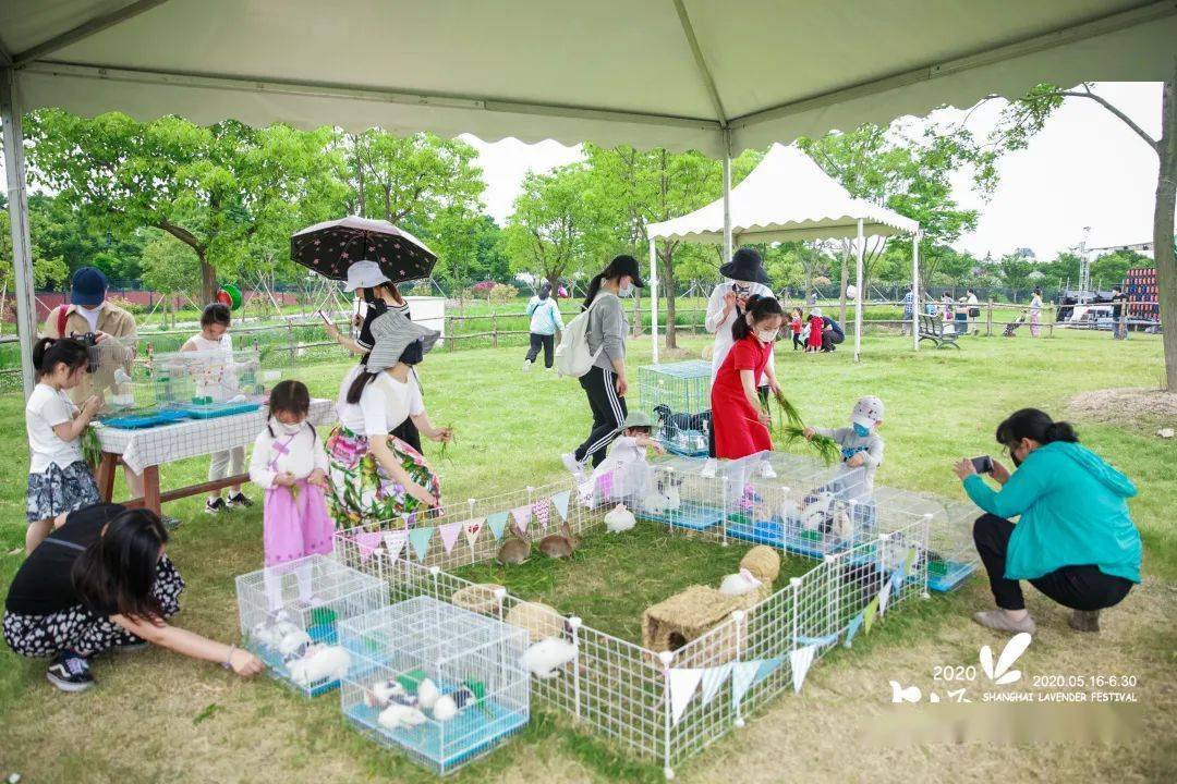 京东白条收款提现到银行卡 轻松搞定！京东白条收款提现到银行卡，操作指南+案例分享